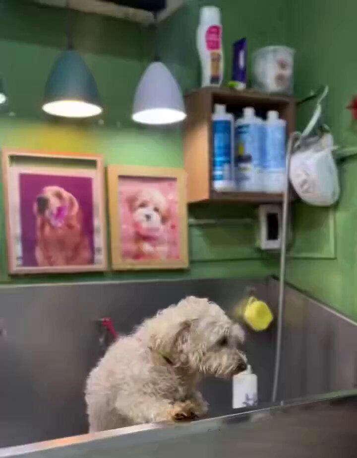When you're served by the person you don't like 😅 but then your favorite employee arrives 🤩