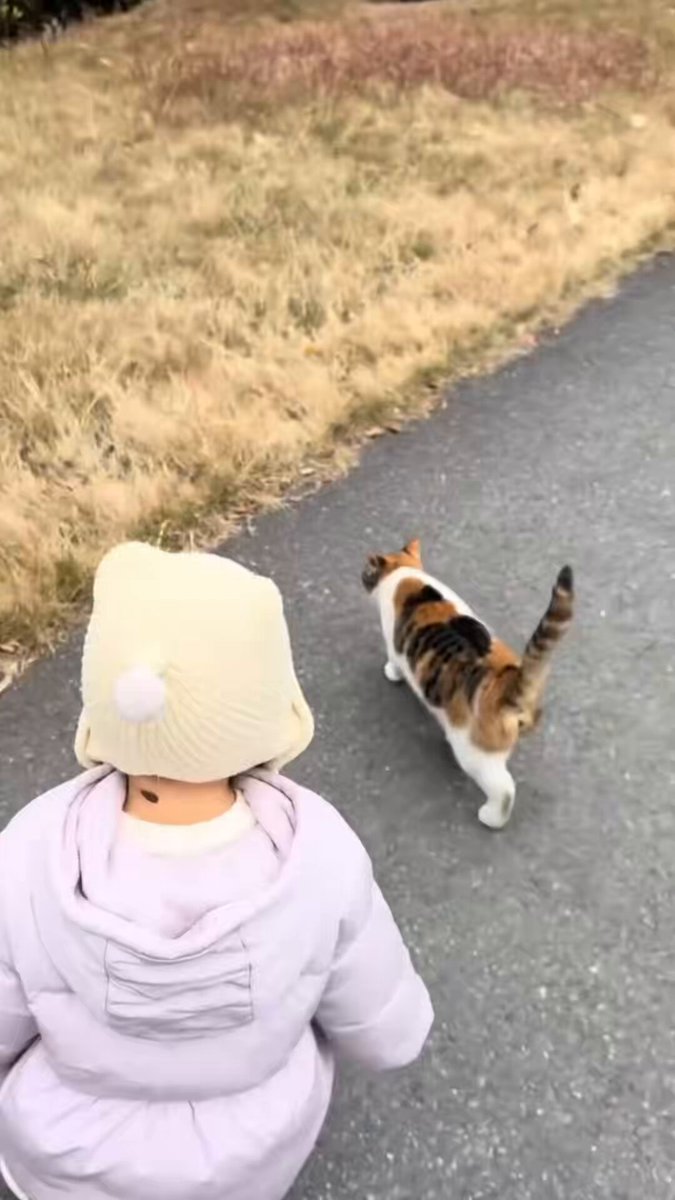 Cats 🐈 They're not copying you, they are actively mocking you.😹😹😹