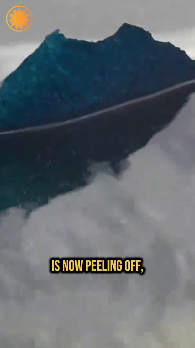 Chunks of paint are floating in the Reflecting Pool, after a makeover that cost American taxpayers more than $14 million to paint it “American flag blue,” as chosen by President Trump. The president had said the renovations would last for “50 to 100 years.” This comes after crews were tasked with treating algae blooms growing in the water.