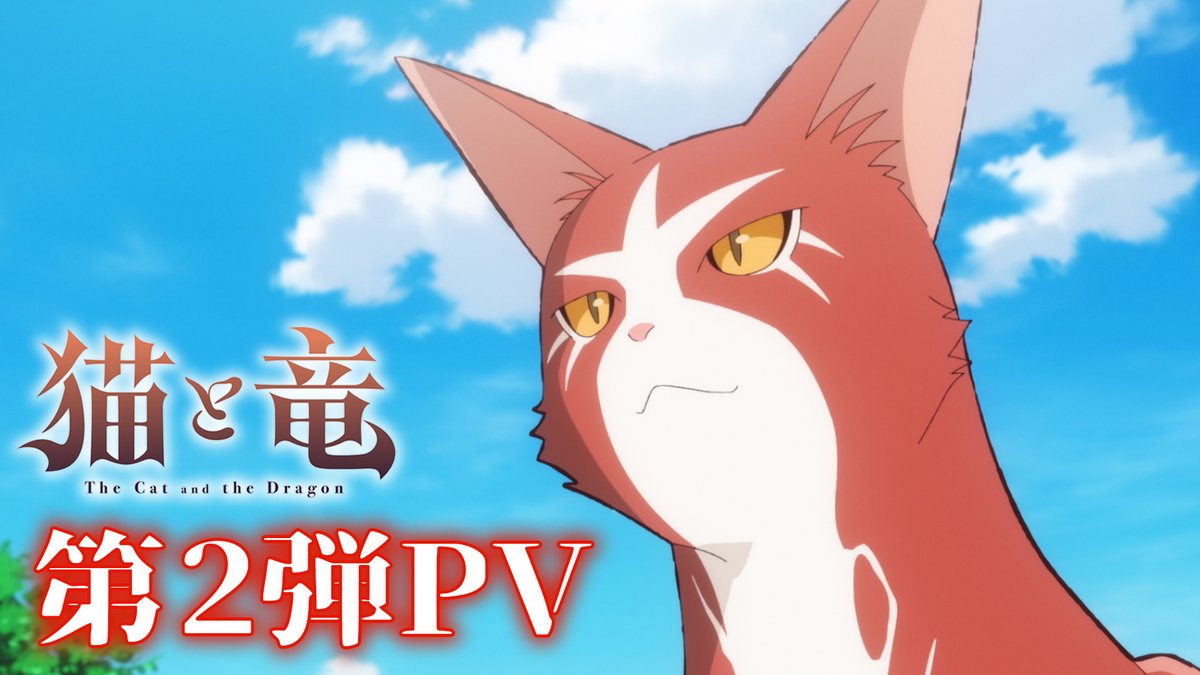 🐾 第2弾PV 🐾 新たなPVを公開！ 映像内では、 shallmによるEDテーマ「ただいまの場所」、 suis from ヨルシカによるOPテーマ「猫日」も使用✨ 📺TVアニメ『#猫と竜』 7月4日(土)より放送開始！ 6月27日(土)21:30～地上波1週間先行・最速配信！ #nekoryuu