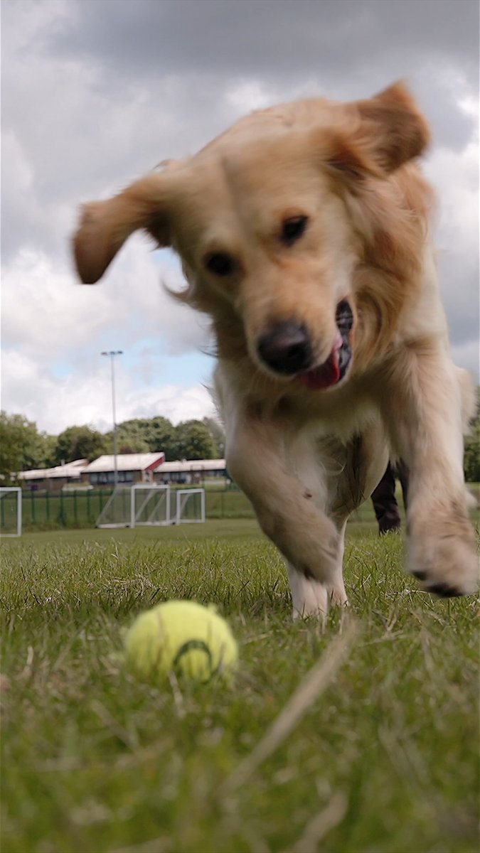 Fetching some good news. 🎾