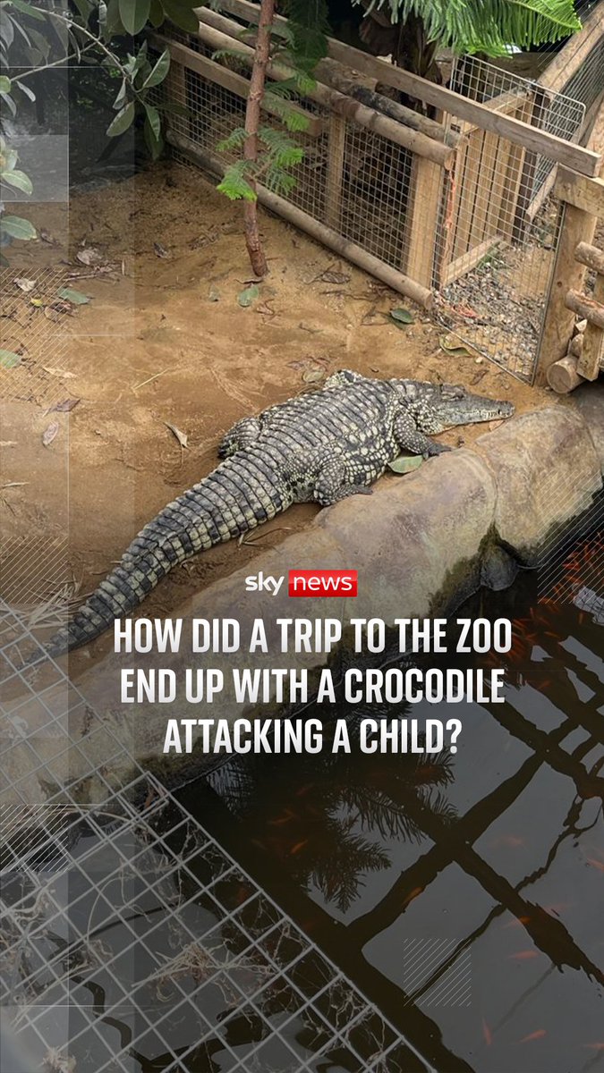 How did a trip to the zoo end up with a crocodile attacking a child? A three-year-old boy has been seriously injured after ending up in the crocodile enclosure at a Cambridgeshire zoo. Sky's Barnaby Papadopulos reports