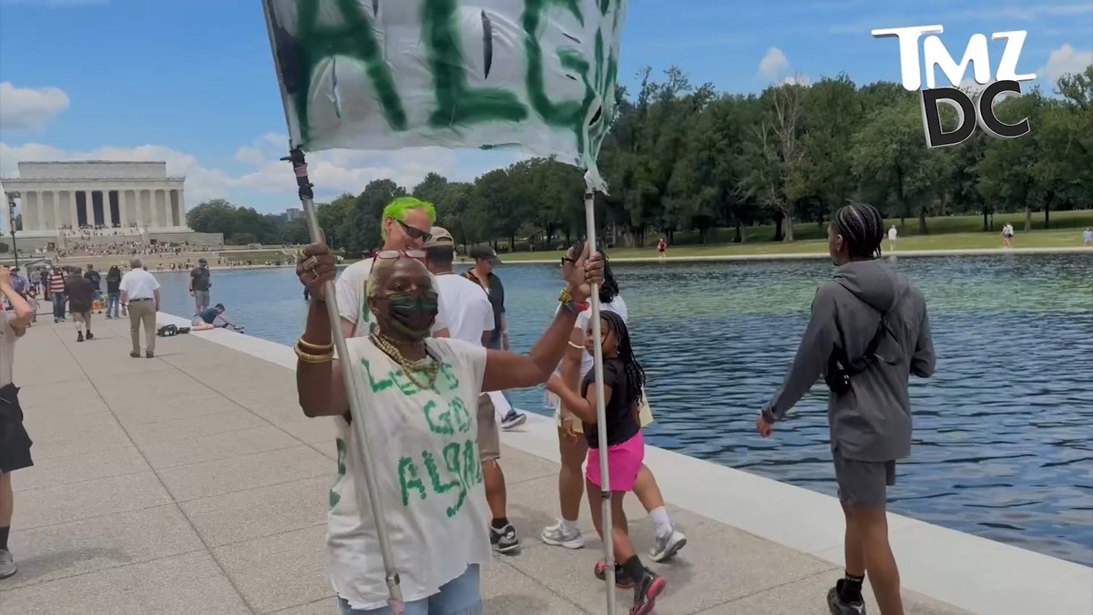 😬 A woman chants "Algae's smarter than MAGA" as the Lincoln Memorial reflecting pool turns green following President Trump's renovation.