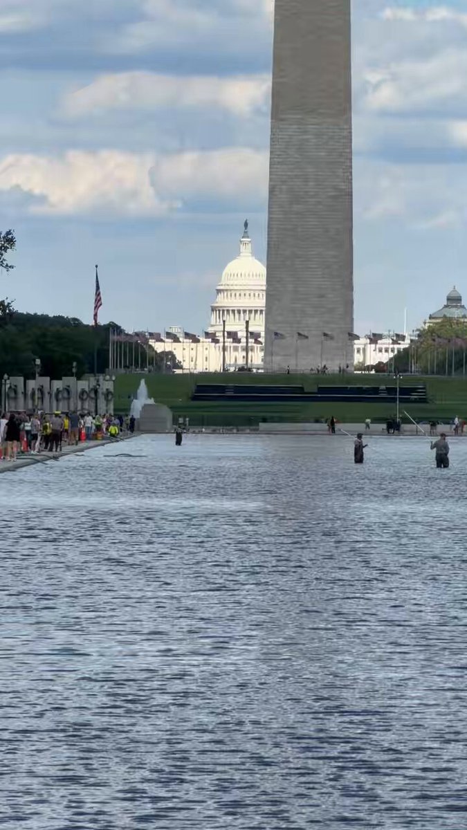 I can confirm that the reflecting pool is full of algae. And the Kennedy Center is still covered up because the president is too thin skinned to not see his name on it.