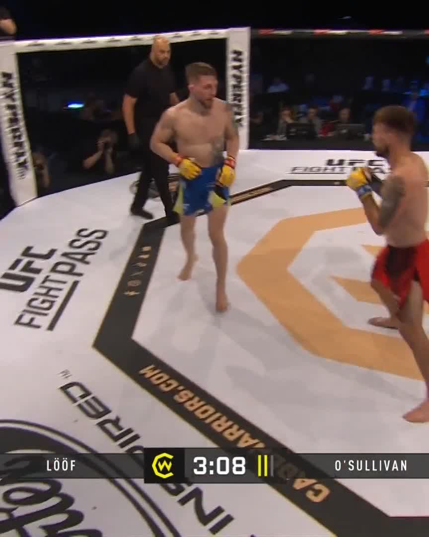 BOOM! Never Count Out Alexander Lööf... Unbelievable Knockout 🇸🇪💥 Watch #CW206 live now on UFC FIGHT PASS