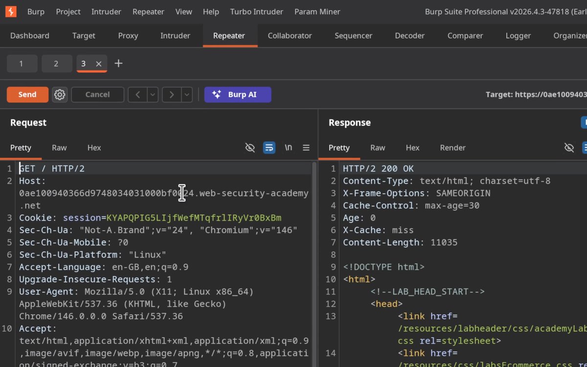 Param Miner brute forces header and parameter names in the background while you browse - and reports everything it finds in the All Issues tab. This is great for uncovering cache poisoning bugs, like in the example below!