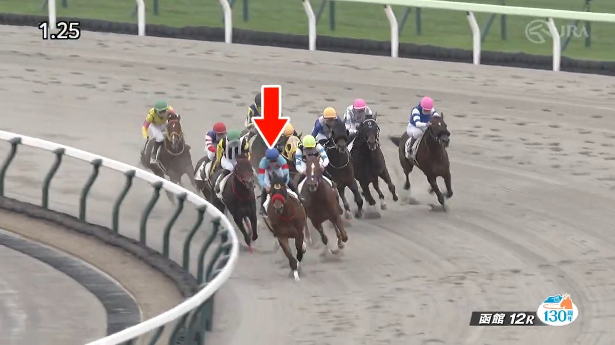 【中央転入初戦を飾る】 園田競馬で3戦3勝の #ディナン が中央初出走の一戦を制し見事無敗の4連勝🔥 今後の活躍に注目です👀 [函館12R 3歳以上1勝クラス ダ1,700m]