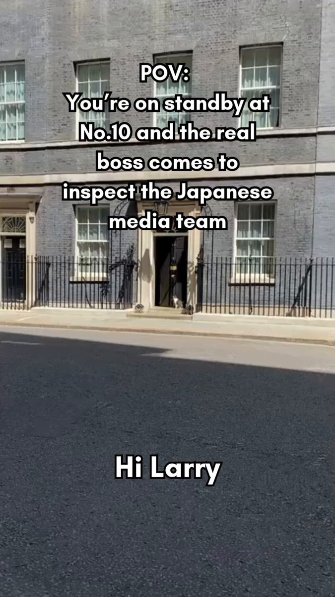 Japanese PM visit highlight - Larry the Cat made a surprise detour to check out the Japanese media team during a high-profile diplomatic summit between Prime Minister Takaichi and Prime Minister Starmer at No. 10. #japanuk
