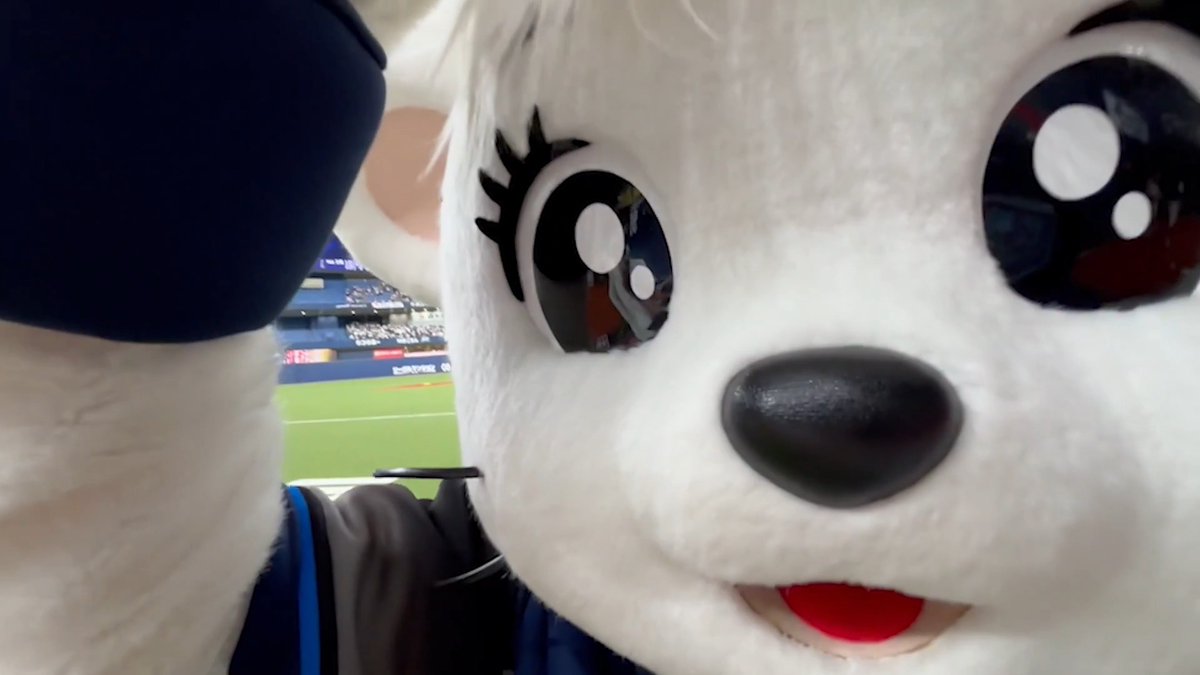 今日の勝利直後のハイタッチは、#ライナ カメラでお届けします! ライナの喜びあふれる表情にもご注目👀✨ #seibulions #打破