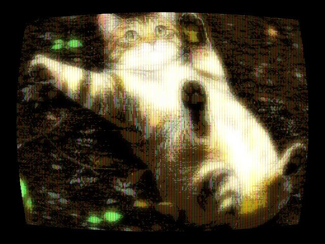 流行りの猫ちゃんをファミコン画質の動画にしてみた。