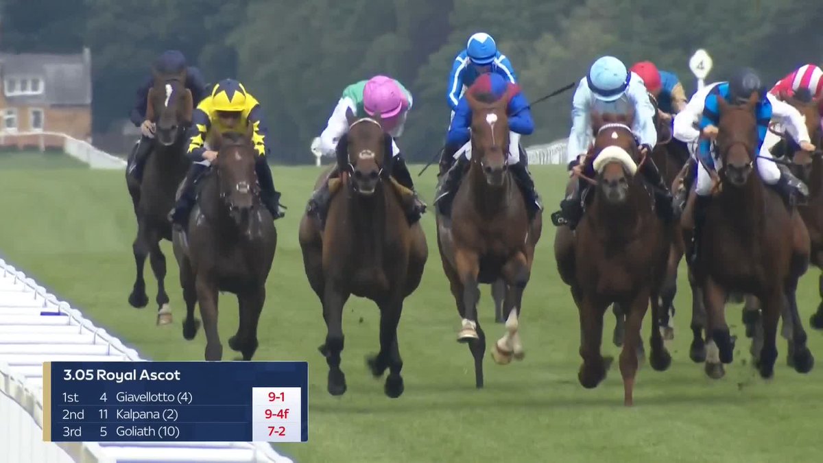【🇬🇧英G2 ハードウィックS】 3着🇫🇷ゴリアット(画面右側の黒帽子)は、鞍上スミヨン騎手の足が鐙から外れるアクシデントがありました。 🎥 At The Races