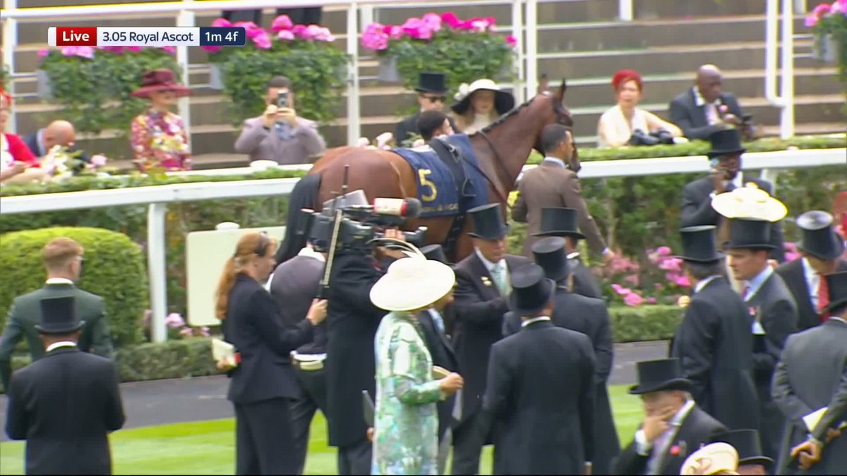 "What a day it is!" 🤩 HAYLEY MOORE was a bit starstruck after bumping into Tinie Tempah at #RoyalAscot...
