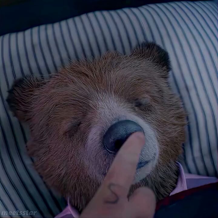 🎬 Paddington 2 (2017).