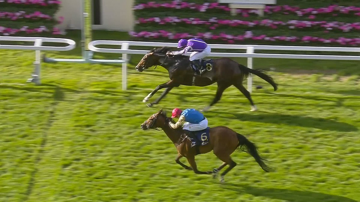 "Onto next week, Hayley!" 😆 After signing off the week with yet another winner, Ryan Moore discusses Illinois' win with HAYLEY MOORE... #RoyalAscot