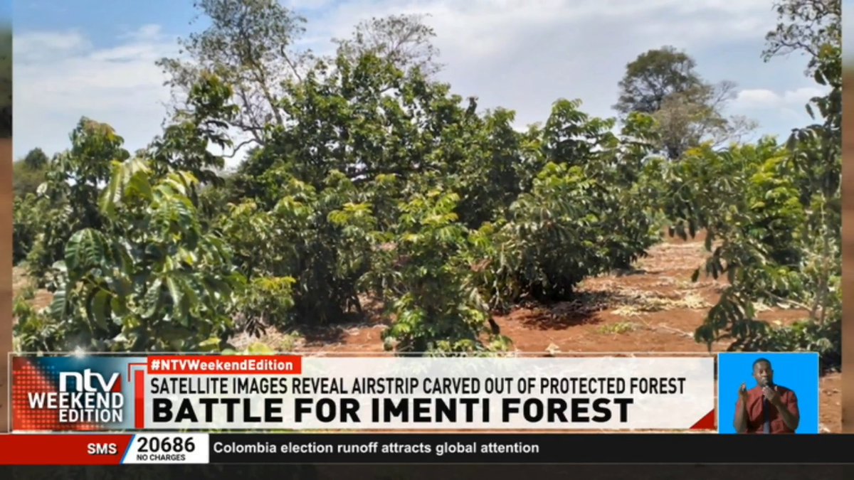 Have you seen this? There’s an airstrip inside Imenti Forest contrary to the proposed state lodge. Beyond the state lodge, maybe smuggling of minerals.