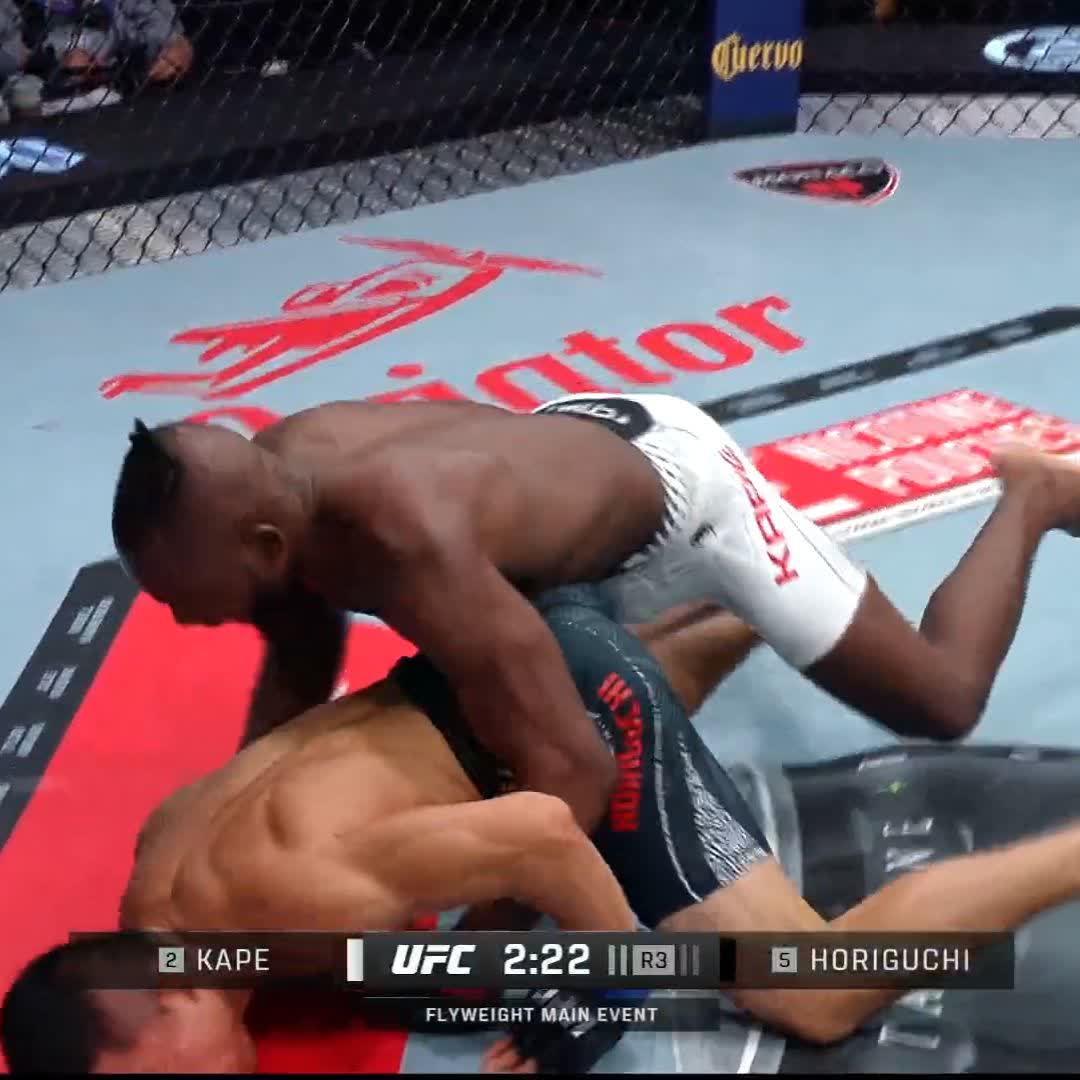 5位 堀口恭司、2位 ケイプに3RKO負け。 #UFCVegas119