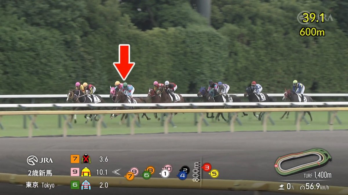 【サリオス産駒の期待馬が新馬V】 調教師が父サリオス似と評する #タクティシアン が追い比べから力強く抜け出し初陣を飾りました✨ ［東京4R 2歳新馬 芝1,400m］