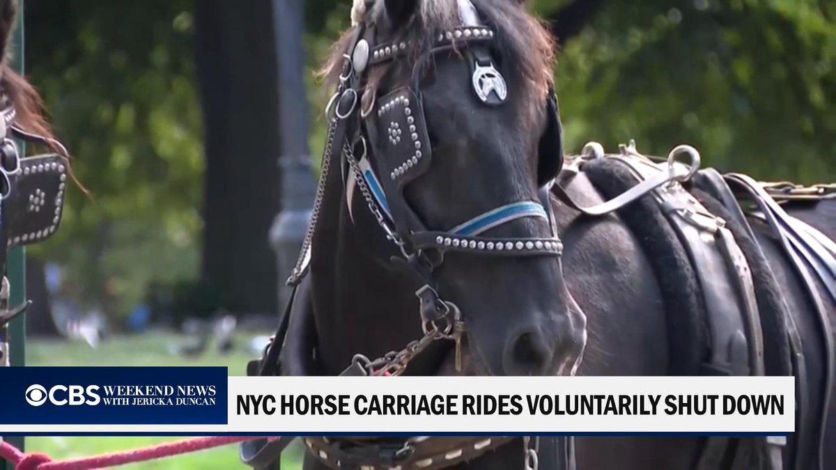 A popular New York City tradition has been voluntarily shut down after the death of a teen tourist. CBS News’ Ali Bauman has more.