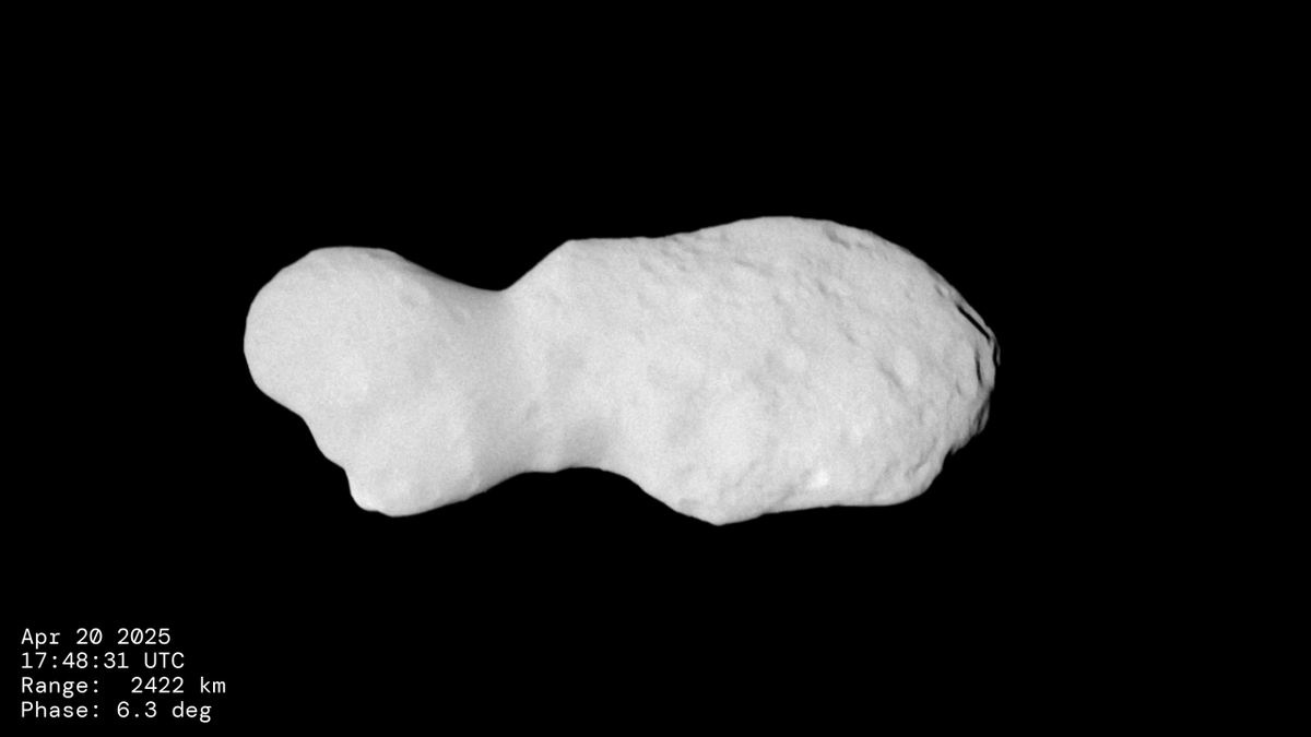 Scientists are still studying data from NASA Lucy's flyby of asteroid Donaldjohanson! One of the surprising reveals has been the asteroid's shape, which indicates that it has undergone a lot of activity in its relatively short history. Read more: