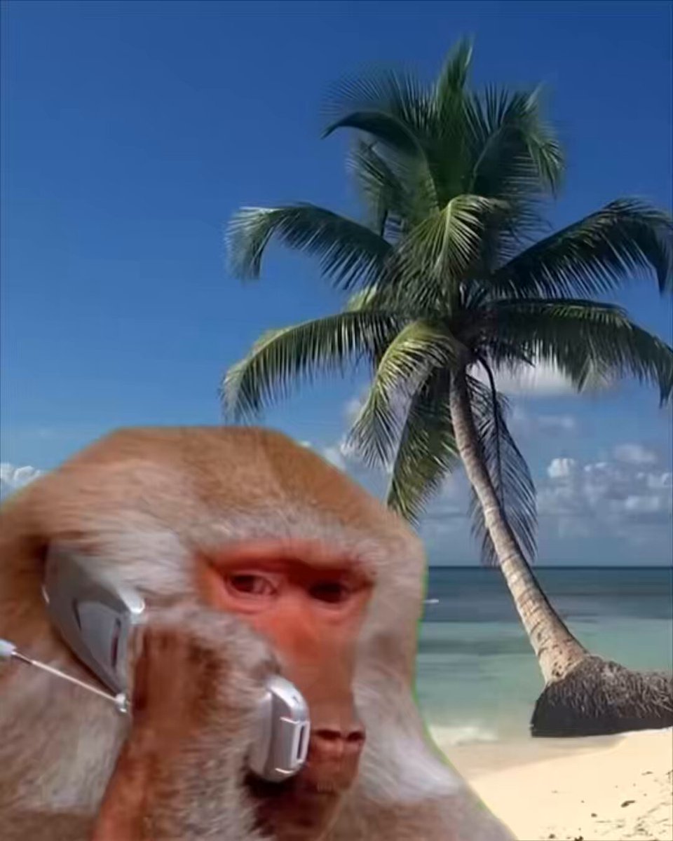Alguien más ta' recibiendo estas llamadas raras?😰 Escuchen esto...👀 parece que casa corona regresa, pero ahora en la playa? o en otro lao... será un bote? un restaurante, un hotel?🫣 ¿qué es esto??