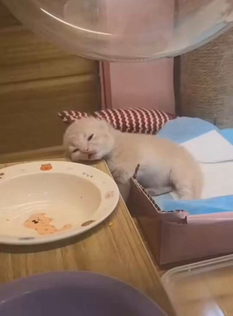 무리...무리한..무리햇!...요즘 왜케 무리하냐아...우움 무리햇,해고오..무리해고래.무리해도오.아니 뭔소리하능거야 무리해쓸때? 아니,므리한 으으음..무우리..단어가 생각이안나지