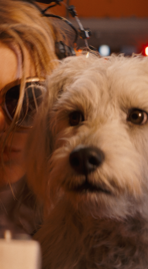 It's Krypto's world and we're just living in it. #Supergirl - only in theaters and IMAX June 26. Get tickets now: