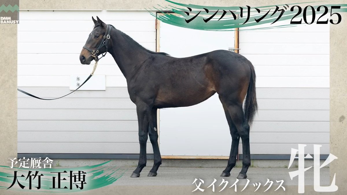 DMMバヌーシー2026年度1期募集 6月25日(木) 18時抽選募集開始 シンハリング2025(牝.1歳) 父 イクイノックス 生産 辻牧場 厩舎 大竹正博/関東 募集総額 4600万円/ 2000口 一口金額(一括) 23000円 一口金額(分割) 3840円(6回) 20%キャッシュバック 4600円