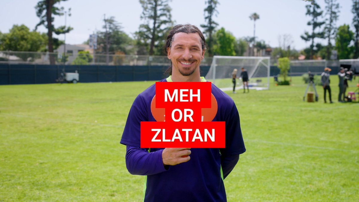 Meh or Zlatan Ibrahimović? There’s only one right answer.