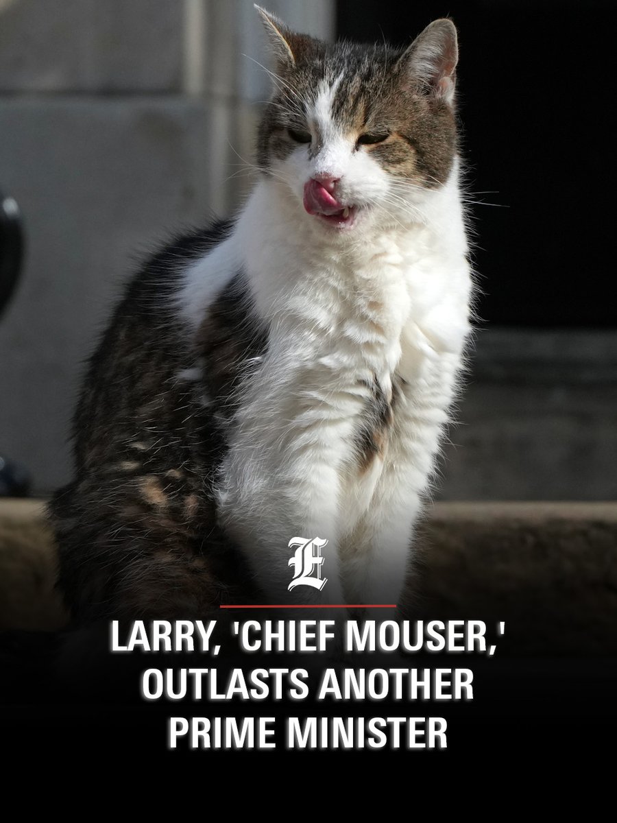 Six prime ministers, nine lives: Downing Street's 'chief mouser' Larry the Cat outlasts another leader.