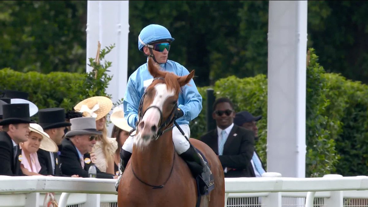 🔴⚪️ Royal Ascot flop SABER STRIKE could make a surprise reappearance in the G3 Criterion Stakes on Saturday. He went sent off the heavily gambled 11-10f in the Jersey just 7 days ago: 🤯 He's opened up as the 6/4F to make a quick amends for team Haggas.