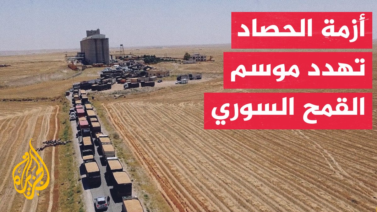 سوريا.. توقعات بتجاوز إنتاج القمح مليون طن خلال هذا الموسم #تقرير: محمد حسن
