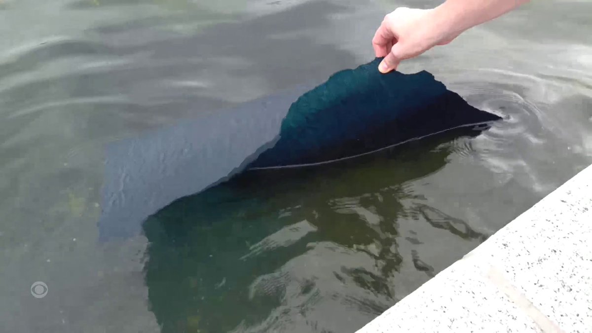 President Trump is claiming that vandals damaged the Lincoln Memorial Reflecting Pool, saying a 350-foot “gash” was cut into its bottom. The U.S. Park Police say five people have been arrested on vandalism charges and five others cited. Ed O'Keefe asked the president about evidence.