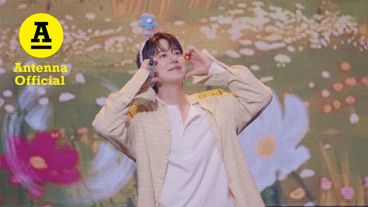#규현 규현(KYUHYUN) 20th Anniversary Fanmeeting <Hotel 203> IN SEOUL '마음세탁소 (When with me)' LIVE 🔗 풀버전은 유튜브 '안테나 Antenna' 채널에서 시청하실 수 있습니다👀 ChoKyuHyun #KYUHYUN #Hotel203 #KYUHYUN20thAnniversaryFanmeeting
