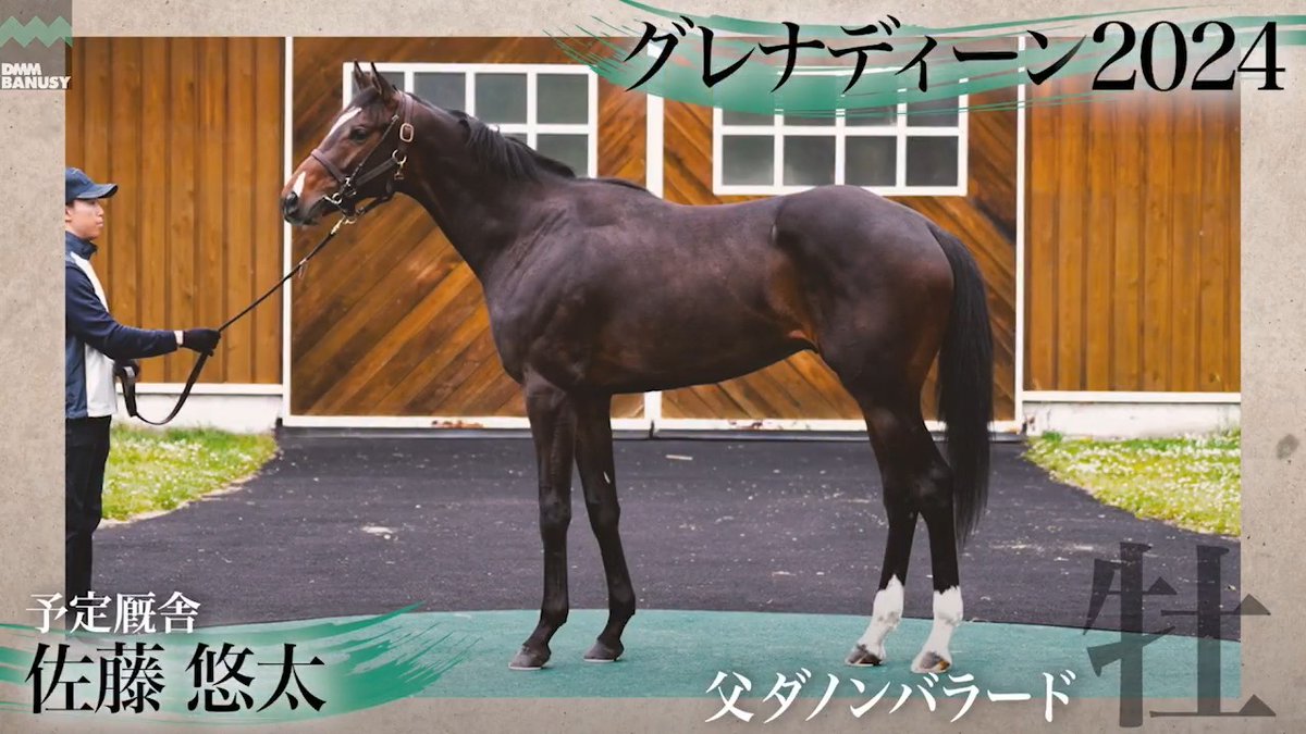 【1口1円の特別募集】DMM バヌーシー 本日6月23日(火)18:00より特別募集を開始しました グレナディーン2024(牡.2歳) 父 #ダノンバラード 生産 社台ファーム 厩舎 佐藤悠太/関西 本馬は「1口1円 10000口」で募集となります。