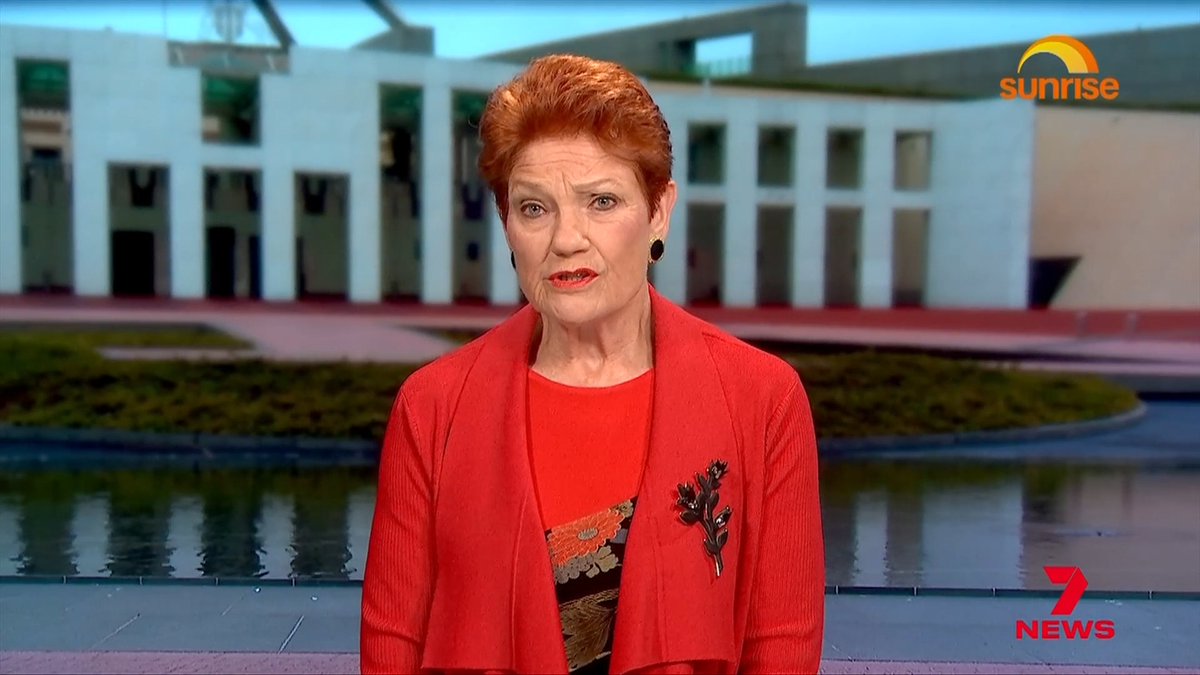 Pauline Hanson's push for a monoculture has lit a fire under the Albanese government, fresh off a deal to pass its tax changes. The Prime Minister has slammed One Nation's vision as nonsense and criticised the opposition for not having one.
