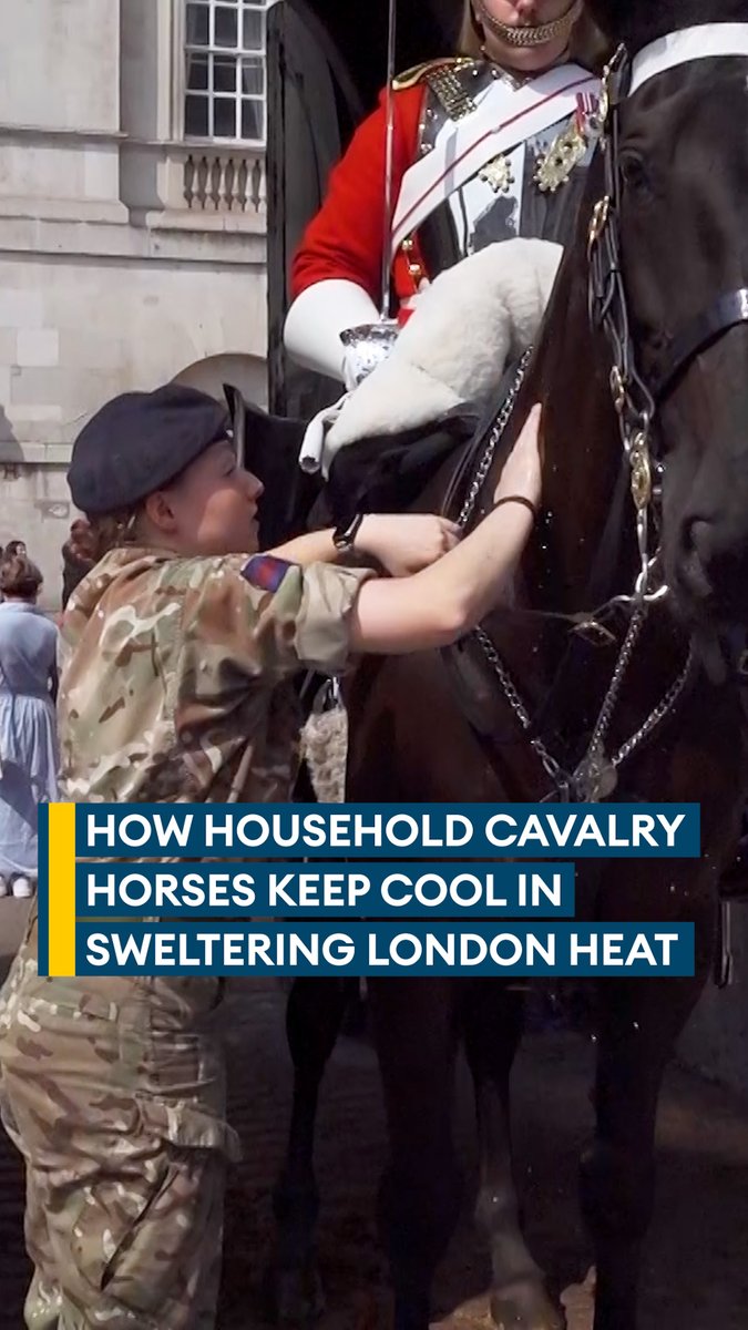 Keeping the horses cool🐎 With temperatures raising across the UK, the military's horses need to be looked after much as people🥵