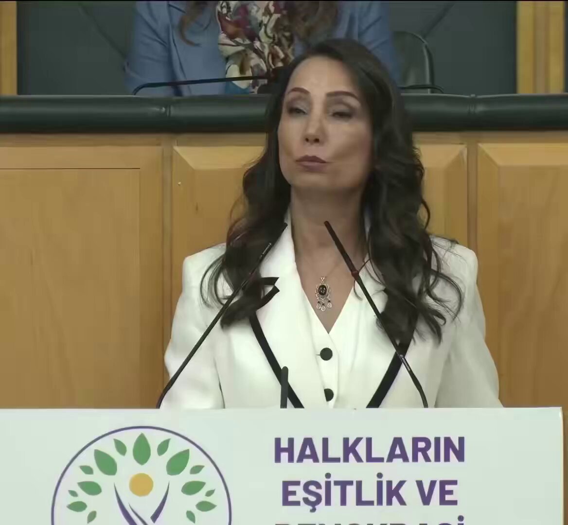 DEM’li Tülay Hatimoğulları: "Bu ülkede bir NATO toplantısı olacak, neredeyse Türkiye'yi felç edecek derecede güvenlik önlemi alıyorlar." "Ülke, NATO'yu keyfince ağırlasın diye yüzlerce insan gözaltına alındı."