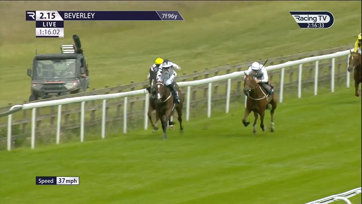 Homebred Lady Caroline Lamb (Study Of Man) opens her account Beverley Racecourse ✅