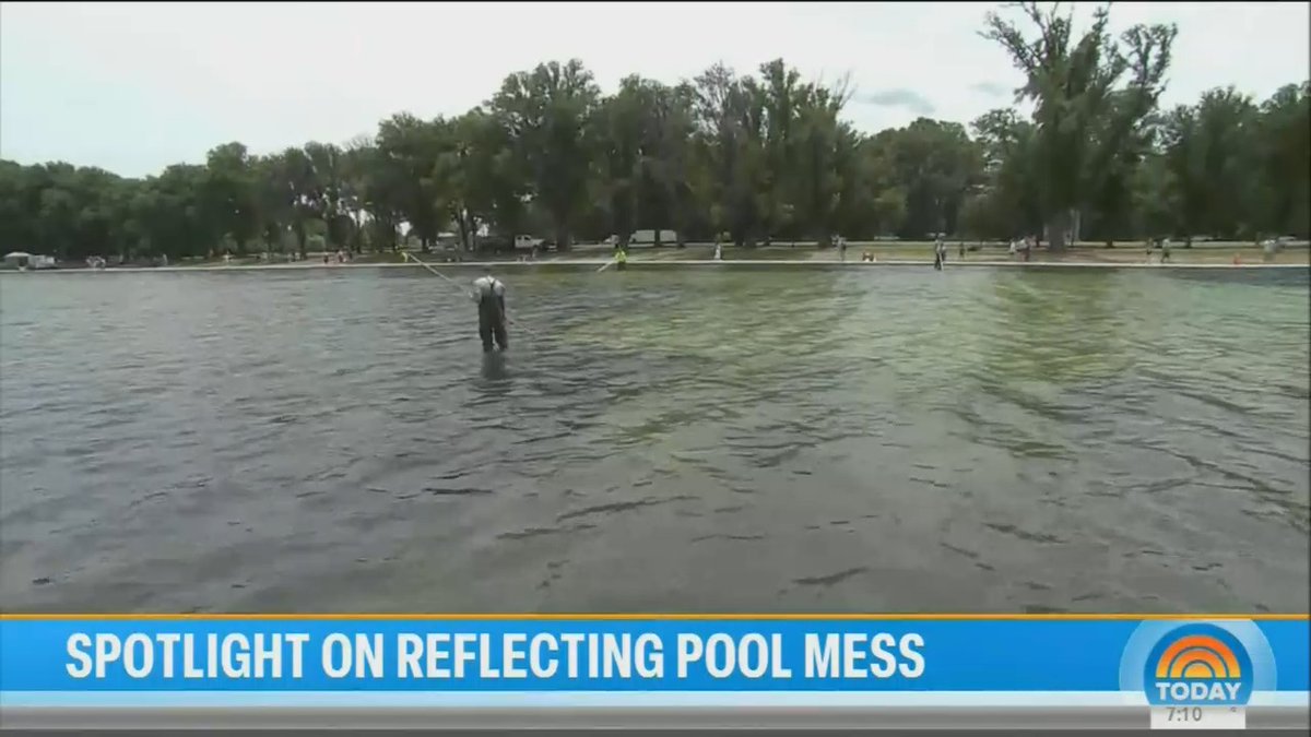 Reflecting Pool visitor: There's lots of green and it smells really bad