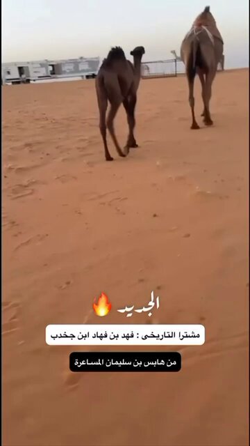مشترى ، فهد بن جخدب فهد ينطبق عليه البيت :- فقع عيون الرعايا مشترى والبحث جاري ،، مشتريات تاريخيّة وفي جميع اللوان