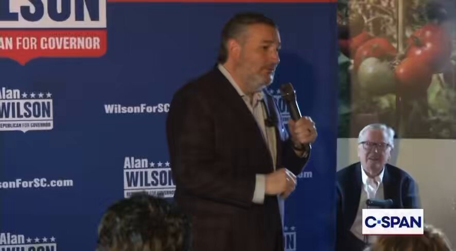 Ted says the IRS should be abolished and all 93,000 employees of the agency should be sent to guard the southern border.