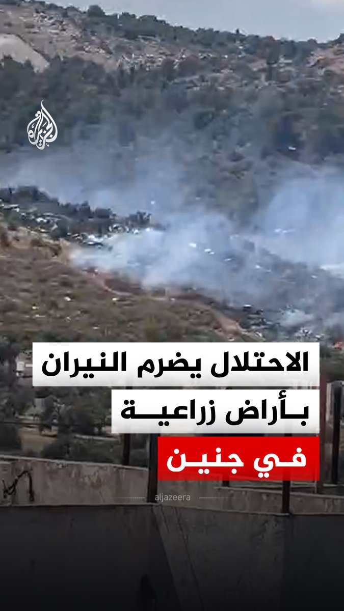 الاحتلال يضرم النيران في أراض زراعية بقرية رمانة غرب جنين، متسببا في احتراق مئات أشجار الزيتون المعمرة وتدمير مساحات شاسعة من المحاصيل الموسمية #فيديو