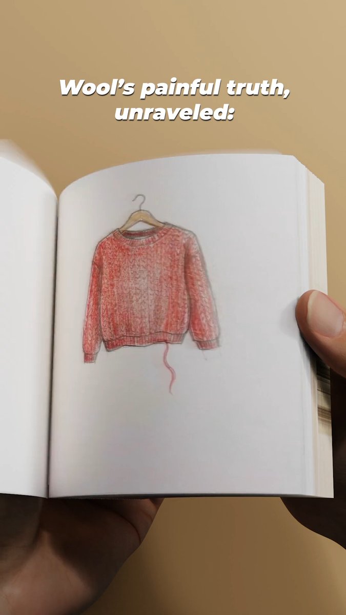 If the tag says “wool,” it’s made with a sheep’s suffering, no matter which way you flip it 💔