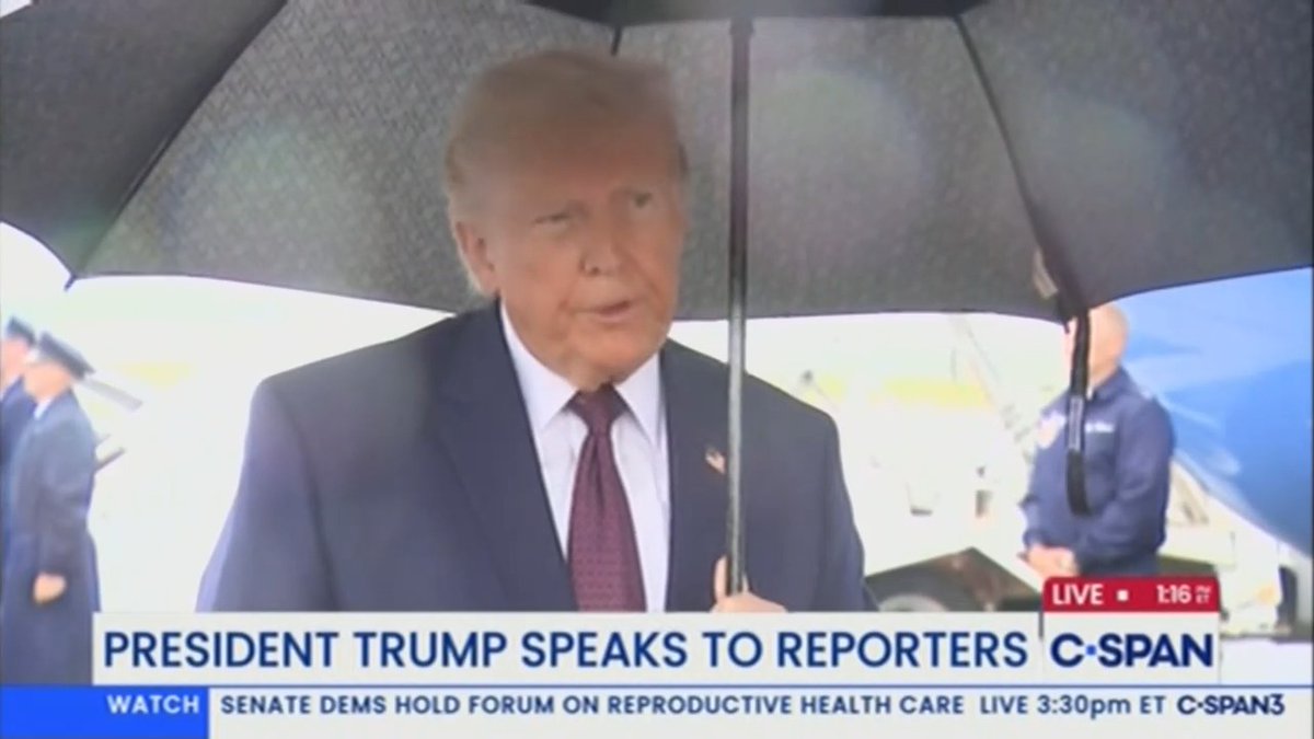 Trump: The Reflecting Pool looks fantastic. But somebody went in with a knife and cut it. They cut a 200, 350-foot slit in the form of lots of little slits. Real horrible stuff