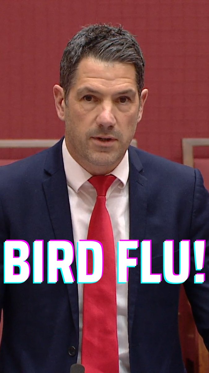 Just as the pharmaceutical companies fire up their “get your flu shot” campaigns, suddenly two birds in Western Australia test positive for avian influenza. What timing! The same pattern every year, new scare, same solution, roll up your sleeve and take your shot to protect grandma (or something). Also from the “trust the science” brigade we learn that you should get your human flu shot to prevent a bird flu pandemic (or something). To hear more from me and stay up to date, signup to my email newsletter here:
