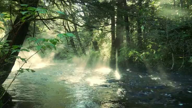 Light finds its way, and so will you.