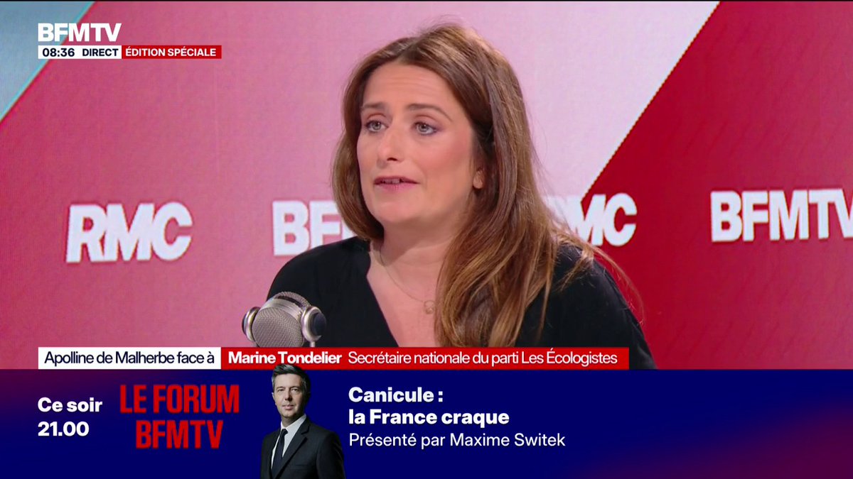 Énergies: "Le 100% renouvelable, c'est possible", détaille Marine Tondelier, Secrétaire nationale du parti Les Écologistes