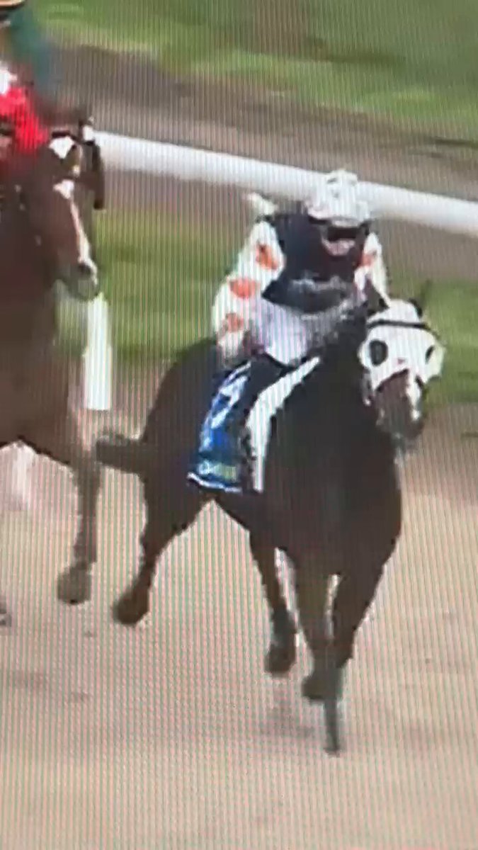 Nadia Daniels makes Sunsets look good for Lindsay Park. Right to left persuader. 30 wins now. Metropolitan now, timing is great. 🏇