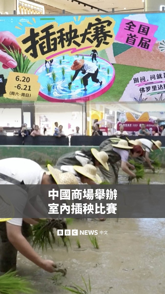 中国宁波的一家商场举办了一场室内插秧比赛,吸引超过千人参与。有参赛者分享,这场活动让他重温了儿时与奶奶在田间劳作的乐趣;主办方则表示,活动旨在透过这类互动性强的实践活动,为顾客提供更多情绪价值。