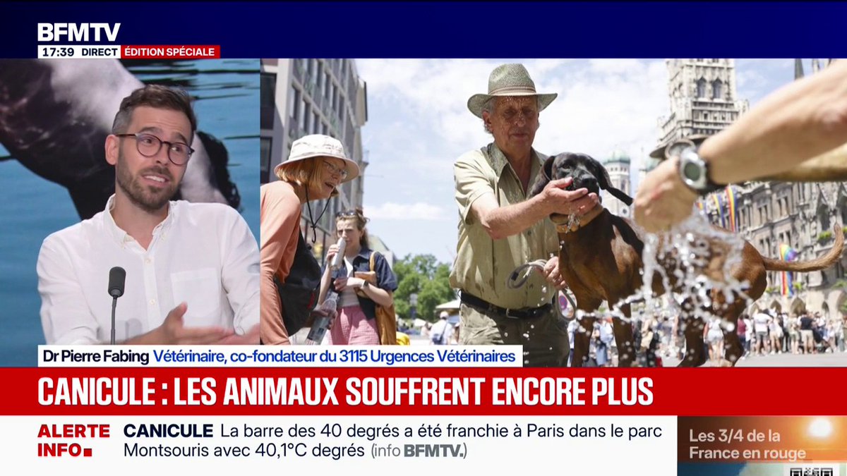 Canicule: + 10% de mortalité chez les animaux en raison des fortes chaleurs le week-end dernier